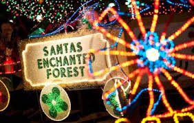 Santa's Enchanted Forest Prices