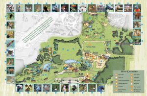 Nashville Zoo Map