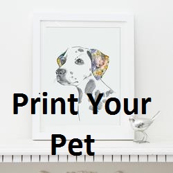 Printyourpet.com Discount Code